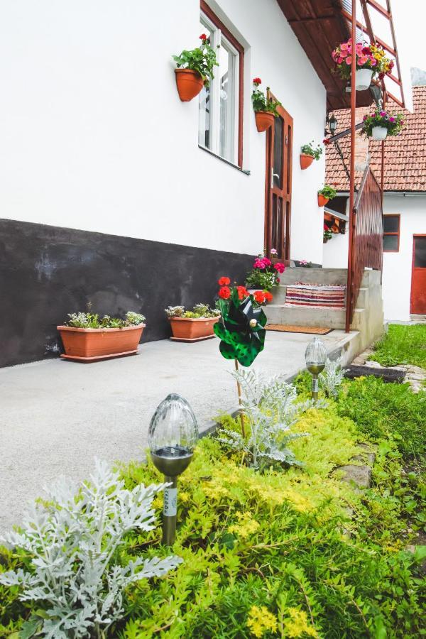 Casa de vacanță Hársfa Vendégház Rimetea Esterno foto