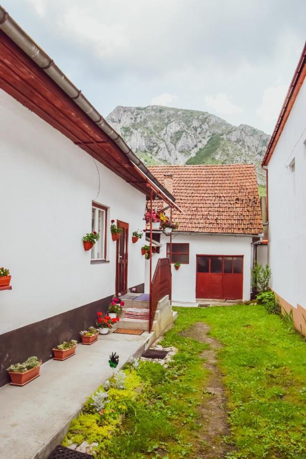 Casa de vacanță Hársfa Vendégház Rimetea Esterno foto