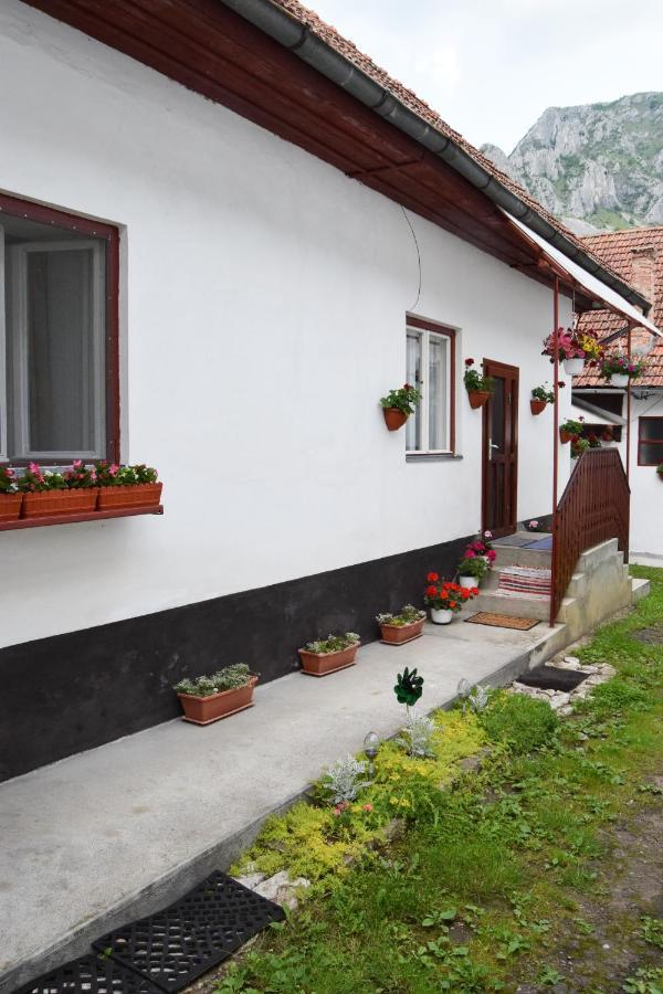 Casa de vacanță Hársfa Vendégház Rimetea Esterno foto